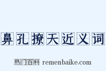鼻孔撩天近义词是什么意思的图片